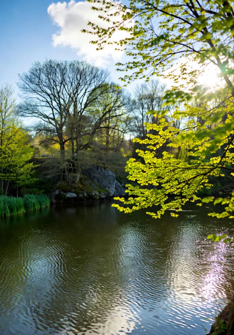 Znaczenie relaksu dla umysłu: Jak odpoczynek wspiera nasze zdrowie psychiczne